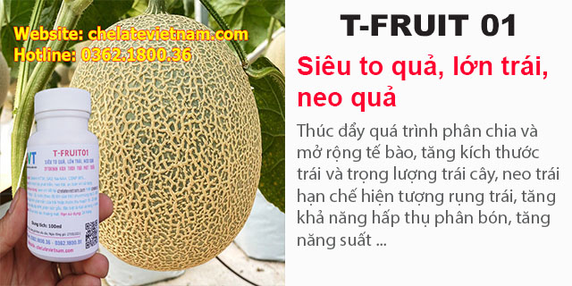 Bán T-FRUIT 01 - Siêu to quả, lớn trái, neo quả (Cytokinin kích thích trái phát triển)